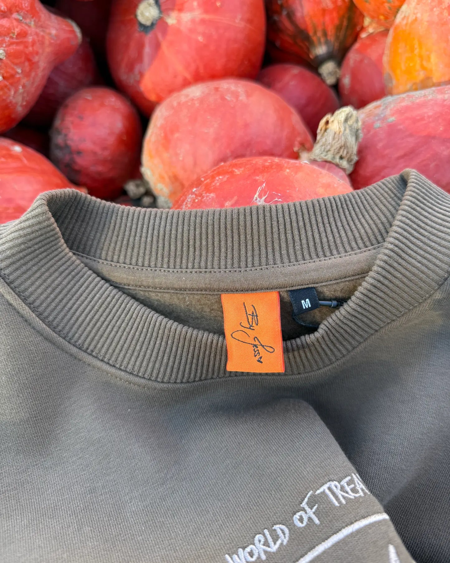 Pumpkin Crewneck - World of Treasure