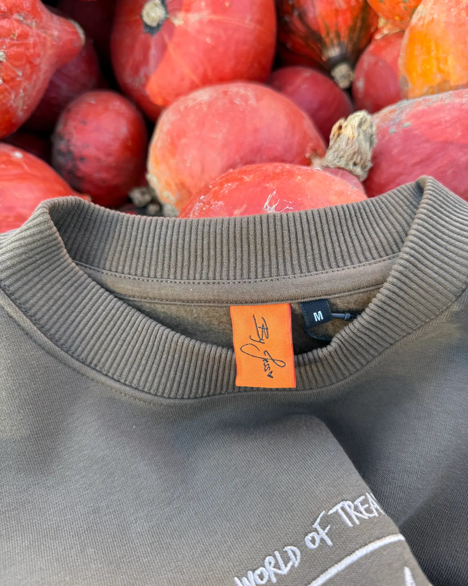 Pumpkin Crewneck - World of Treasure
