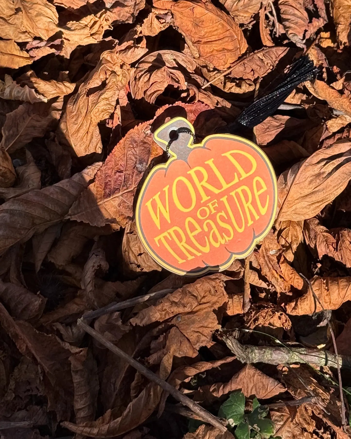Pumpkin Crewneck - World of Treasure